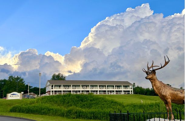 Blue Vista Motor Lodge in Summer