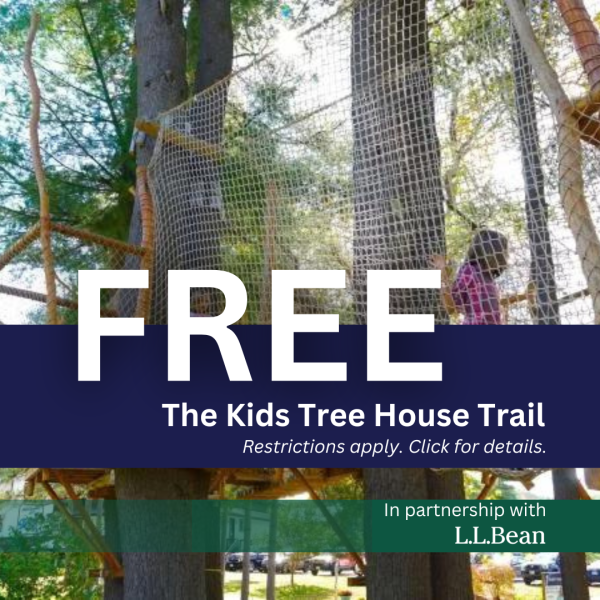 Kids Tree House Trail