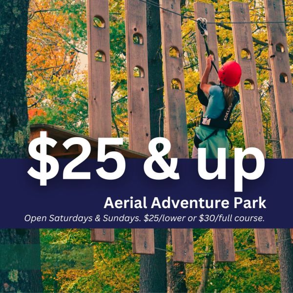 Aerial Adventure Park